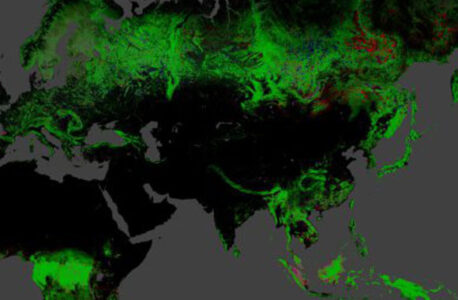 A Global Map of Deforestation Image